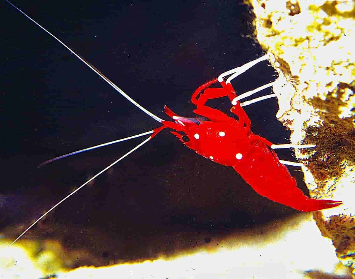 S&L Naturverlag, Bergrat-Mahr-Straße 17 in Ilmenau