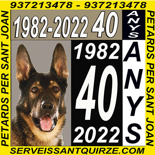Serveis Sant Quirze Logo
