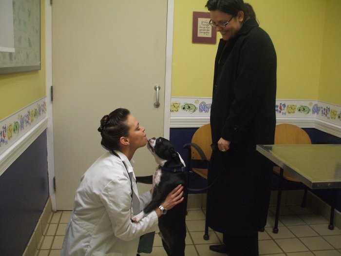 Image 2 | VCA Pets Are People Too Roswell Animal Hospital