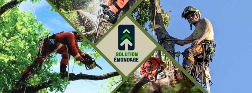 Images Solution Émondage - Élagueur