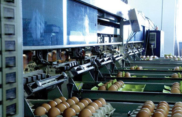 Images Azienda Agricola Alma