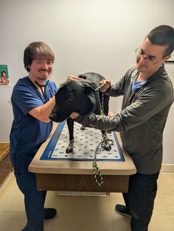 Images VCA Associates in Pet Care Animal Hospital