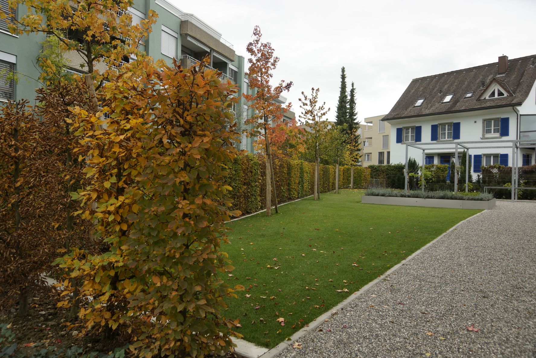 Bilder Wild Gartenbau AG