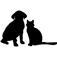 Boca Mobile Vet