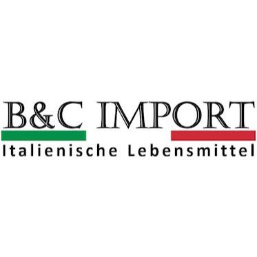 Logo B & C Import