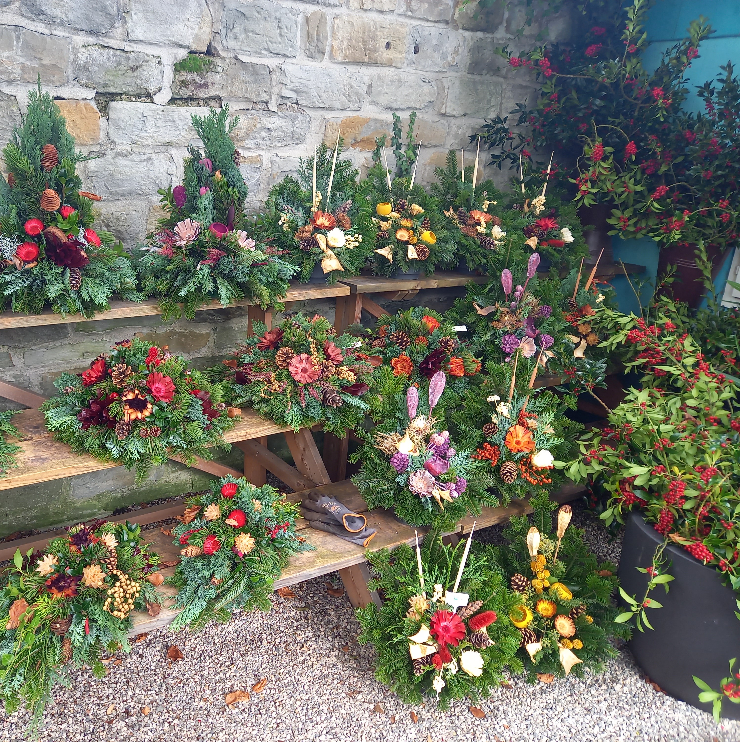 Bild 2 von Grün-Zone