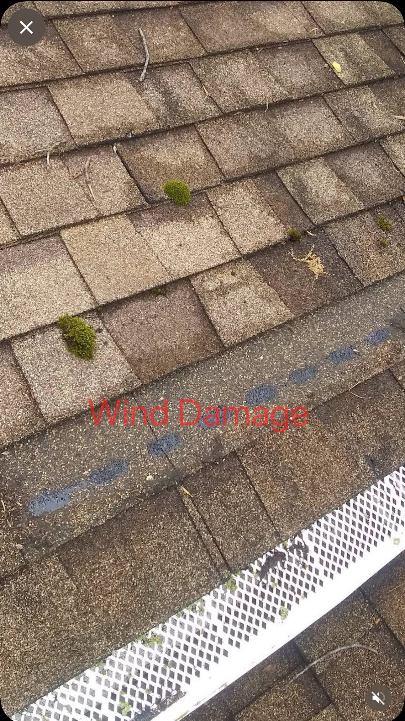 Wind damage to shingle roof. Xpert Adjusting Public Adjusters