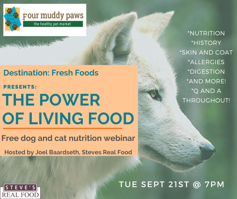 Image of Local Pet Event The Power of Living Foods Webinar with Steve's Real Food Nearby