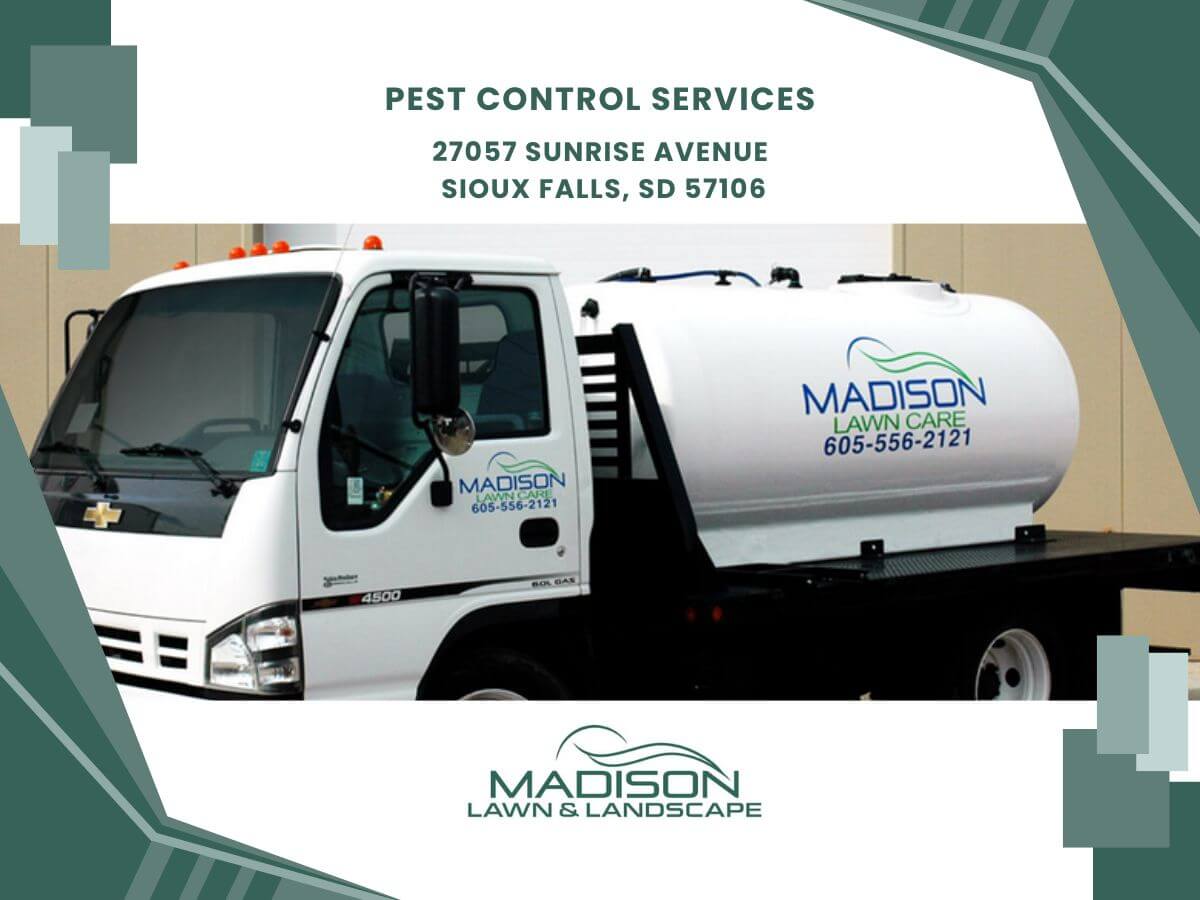 pest control services