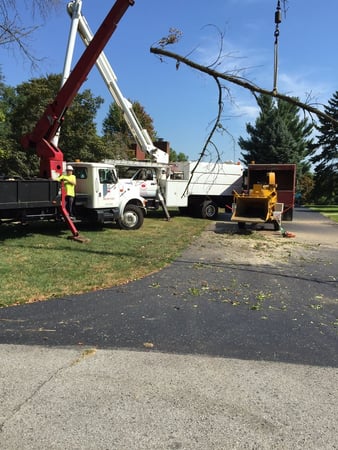 Images Acme Tree Service