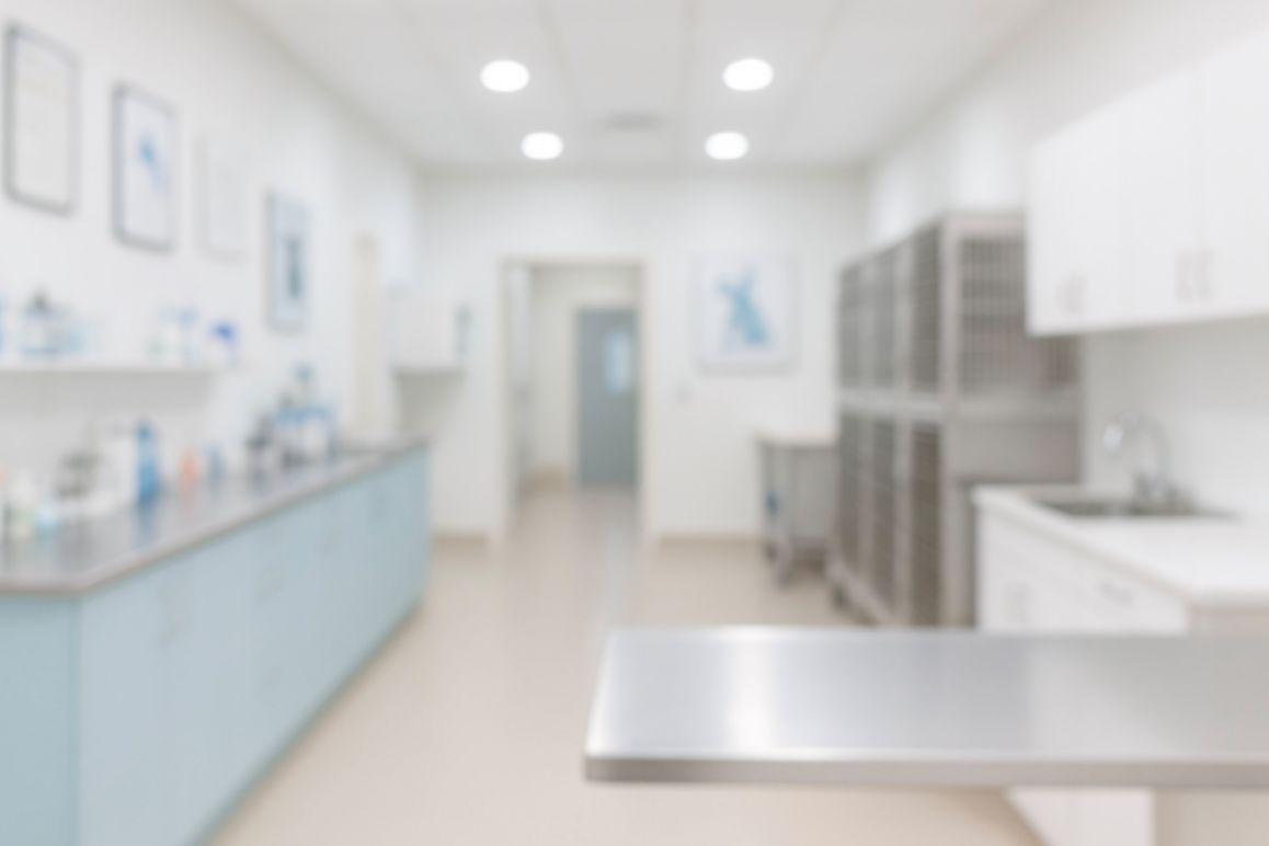 Images Veterinær Gunnil Wæhre