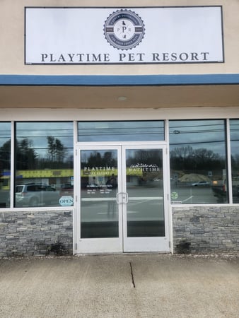 Images Playtime Pet Resort