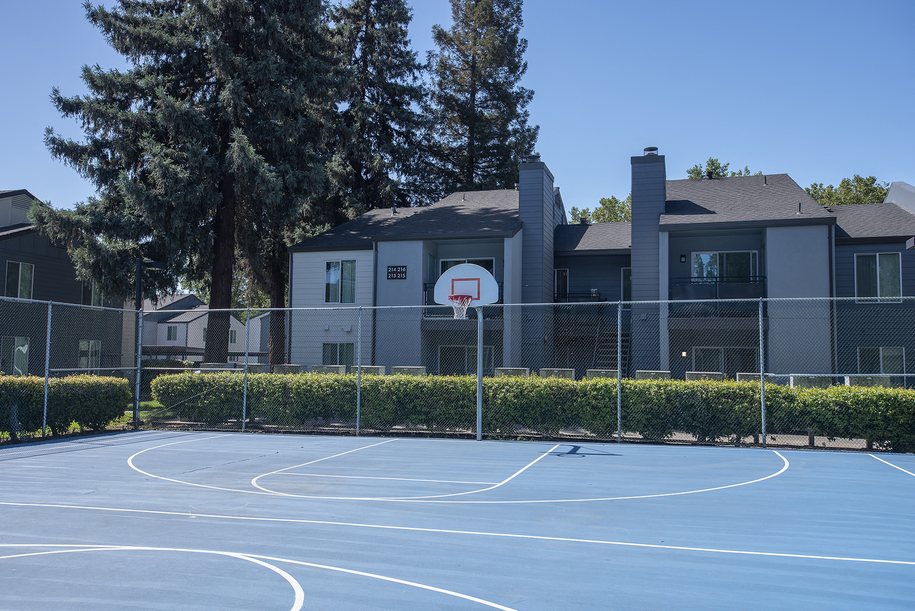 Basketball Court