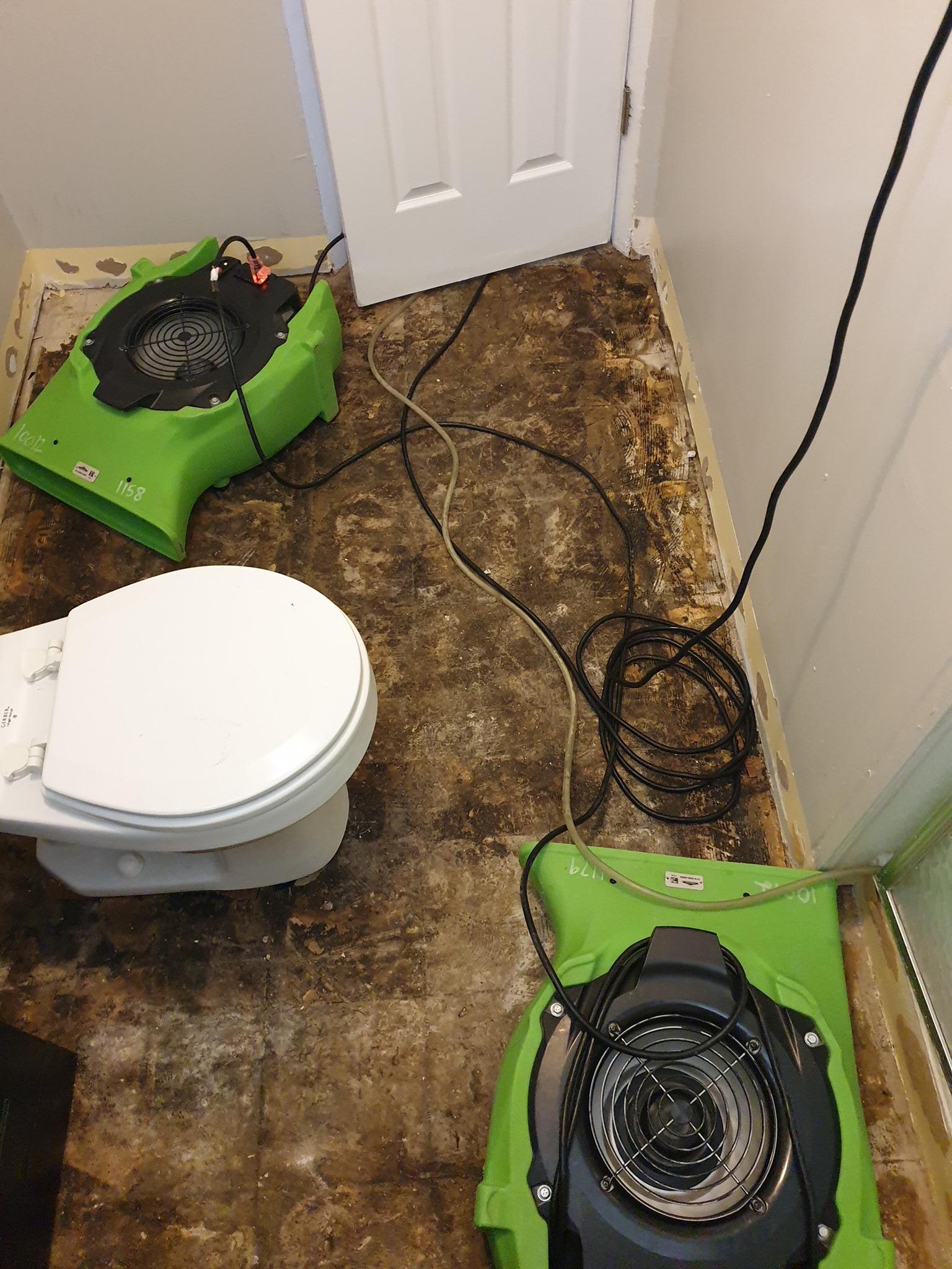 We understand that you want your living space back to normal ASAP. SERVPRO of Oakville/Mehlville prides itself on being fast and efficient.
