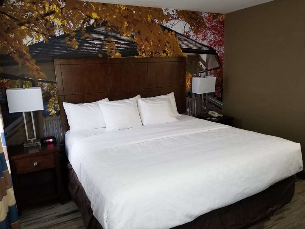King Guestroom