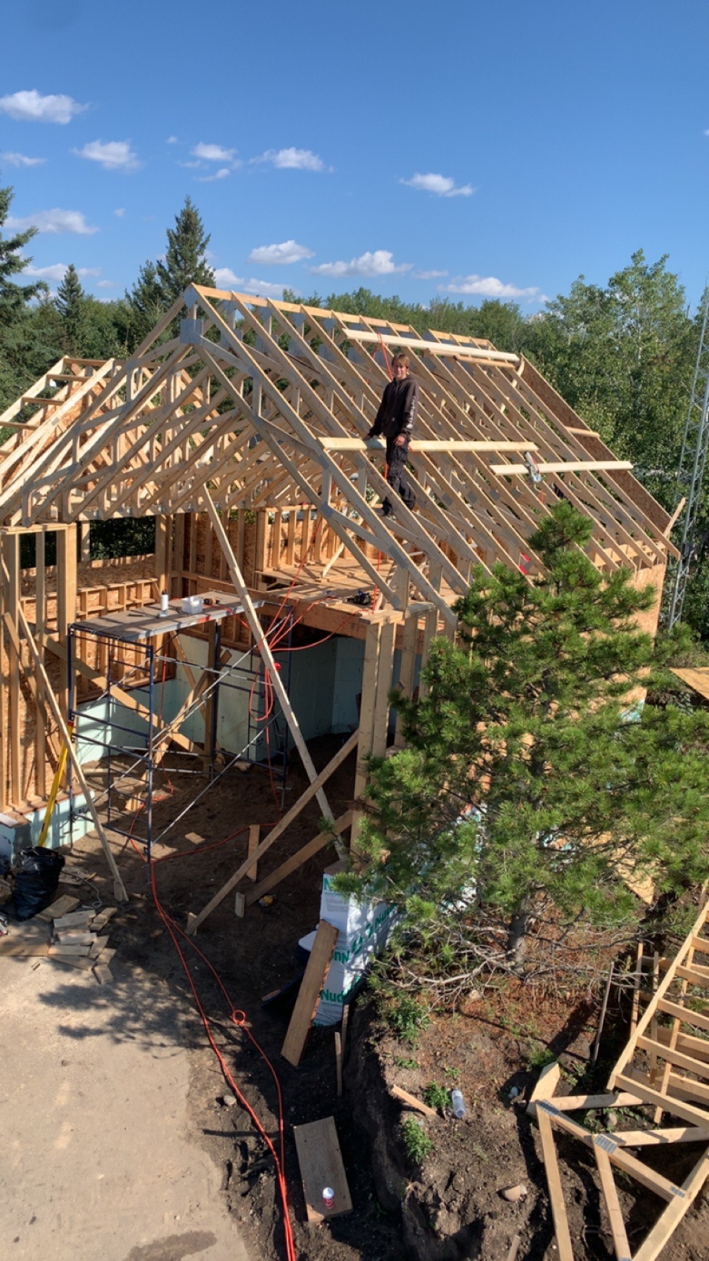 Images The Blue Spruce Builder