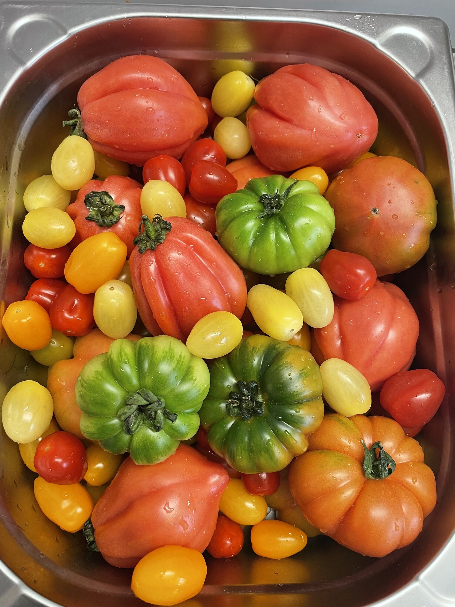 CATERING PASSION GmbH, Werstener Dorfstraße 181 in Düsseldorf