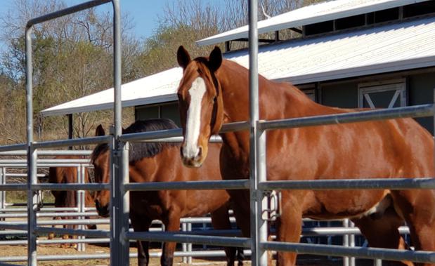 Images La Bota Ranch Equestrian Center