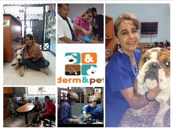 Images Clínica Veterinaria Derm & Pet