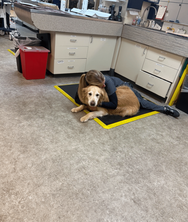 Images VCA Southeast Portland Animal Hospital