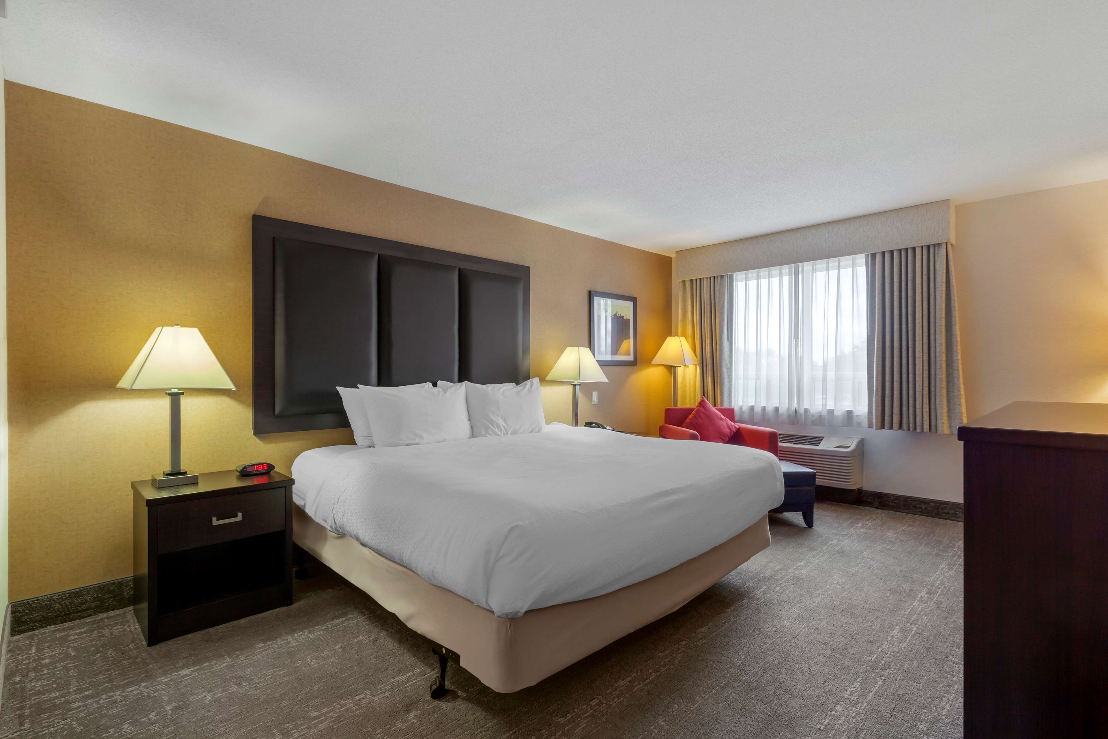room Best Western Plus Burlington Inn & Suites Burlington (905)639-2700