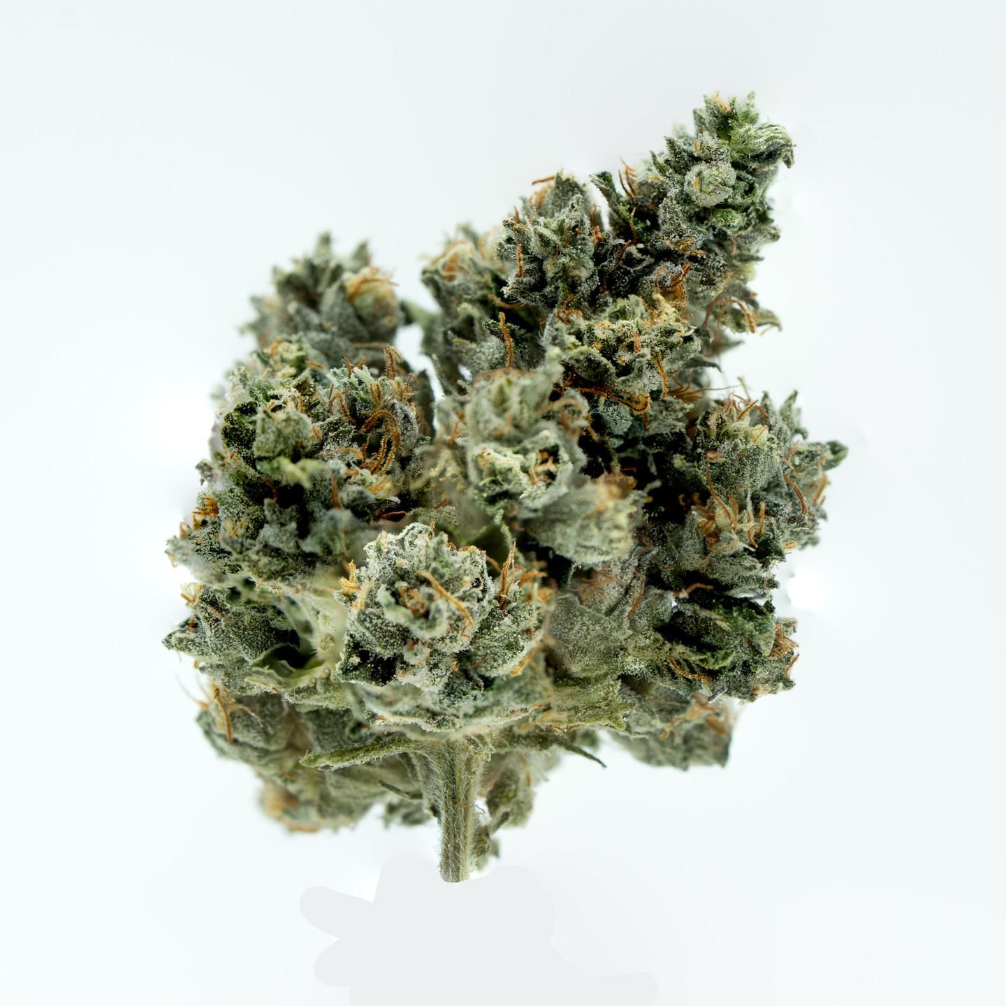 Cannabis Dispensary in Broomfield - Magnolia Cannabis Co