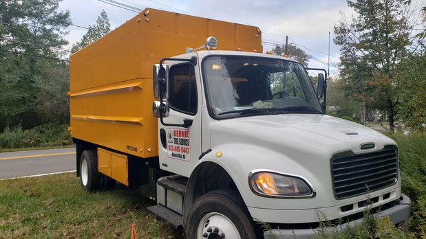 Images Bernie Tree Service Llc