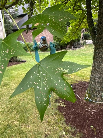 Images Tree Masters of Tennessee