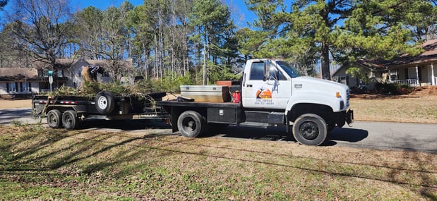 Images Dutton Tree Service