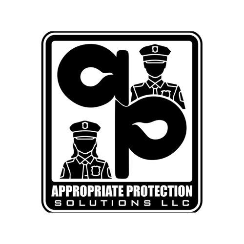 Appropriate Protection Solutions LLC Logo