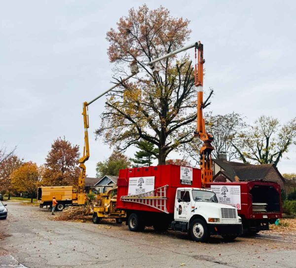 We Care Tree Service