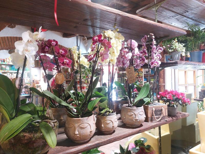 Images Agraria Hobby Verde