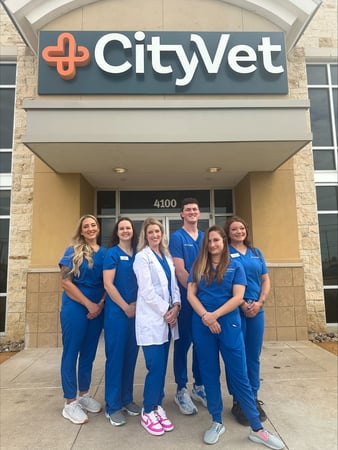 Images CityVet | Lake Worth