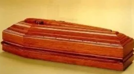 Images Orchidea di Firera Giorgio e  Sebastiano