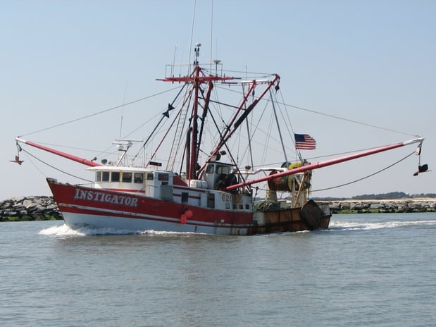 Images Martin Fish Co LLC