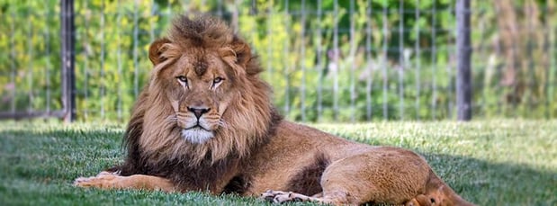 Images Rolling Hills Zoo