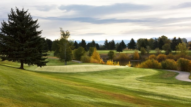 Images Greens at Royce Brook