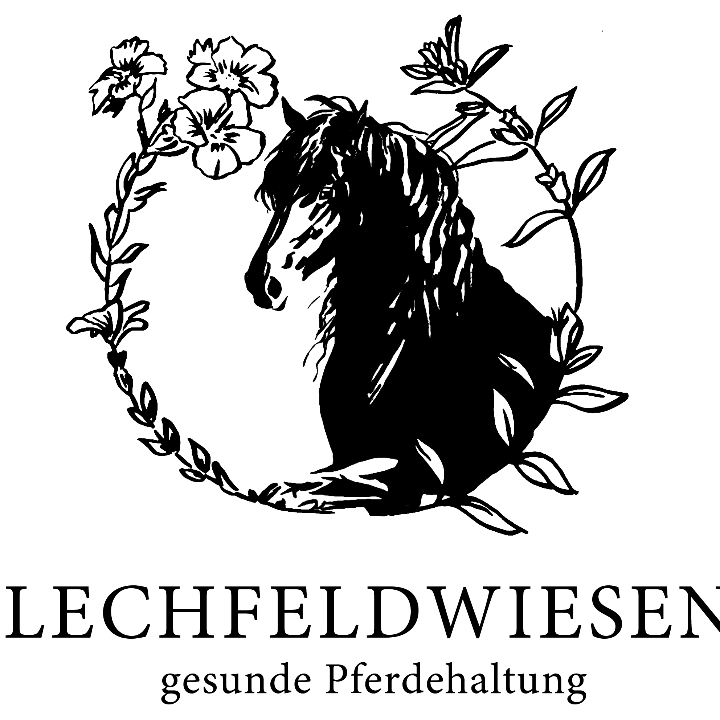 Lechfeldwiesen- gesunde Pferdehaltung in Königsbrunn