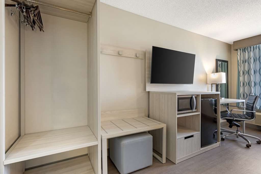 King Bed Room