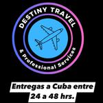 Destiny Travel & Professional Services Logo