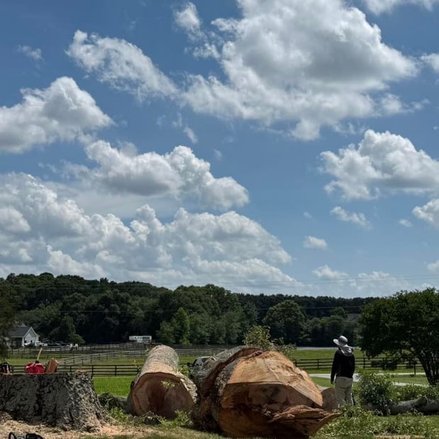 Images Southern Grading & Associates LLC