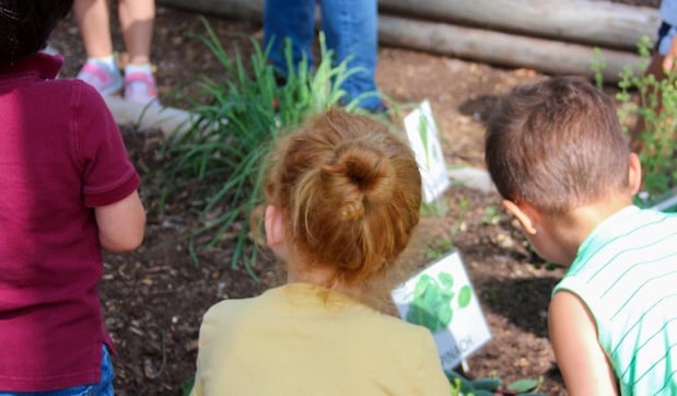 Images Country Home Learning Center at Leon Springs