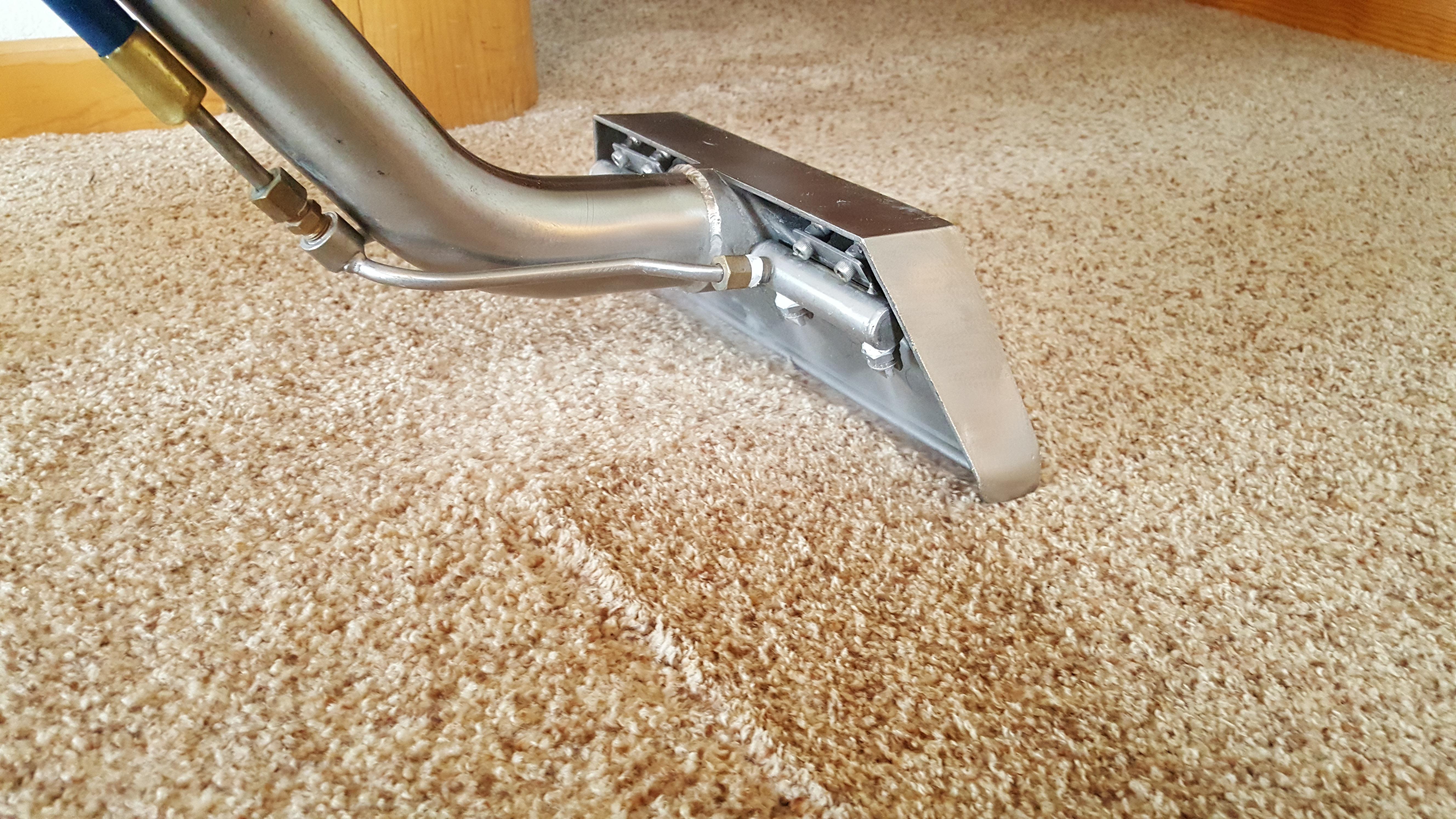 360 Steam Carpet Cleaning Photo