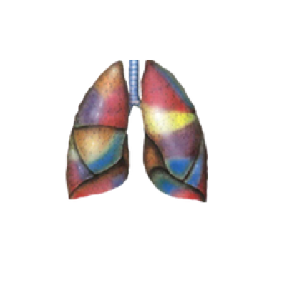 Fotos - Lungenarztpraxis Karel Günsberg - 2