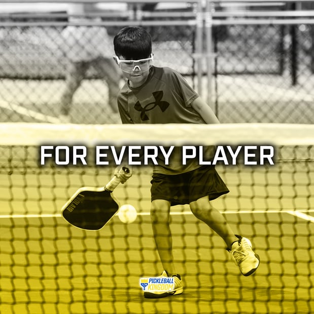 Images Pickleball Kingdom Lynnwood