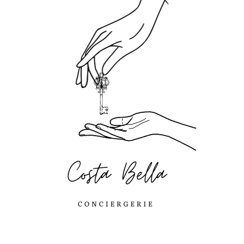 MANCINI ANNA conseil en organisation, gestion management