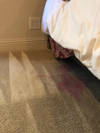 Images Carpet Pro Carpet Cleaning & Dyeing