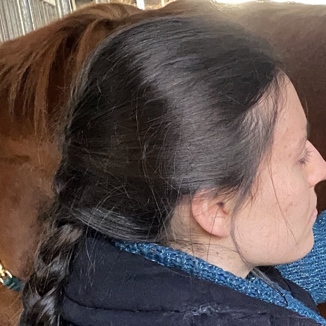 Bild 1 von Philippus- Tiermassage und Bewegungstraining für Pferde