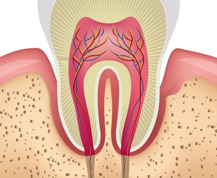 Smiles For Life Dental Care Photo