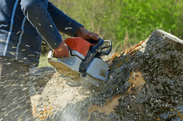 Images Roger's Tree And Asphalt Services LLC